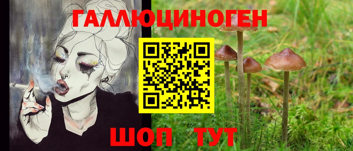Псилоцибиновые грибы Magic Shrooms Архангельск
