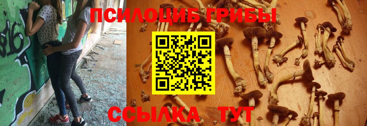 Архангельск  Псилоцибиновые грибы мицелий  Вход с VPN 